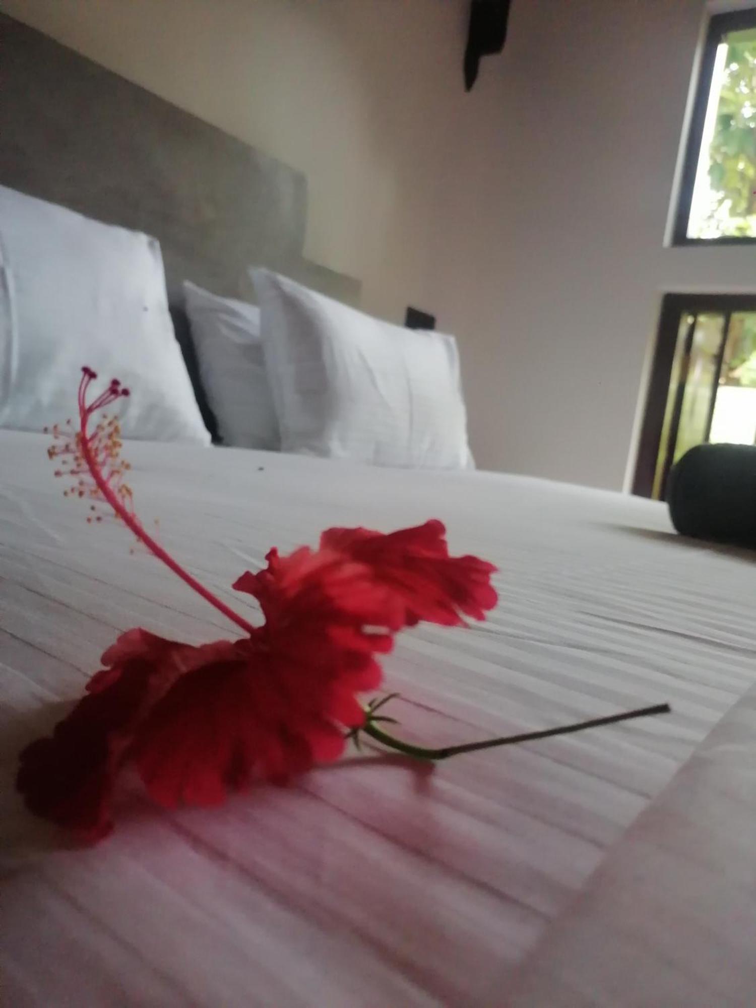 Bappa'S Place Dickwella Zewnętrze zdjęcie